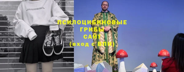 ешки Алексин