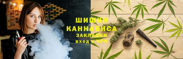 ешки Алексин