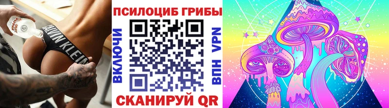 Псилоцибиновые грибы мицелий  Петровск-Забайкальский 